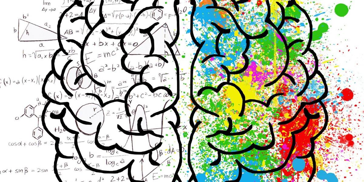 Grafik Gehirn: links Formeln. rechts Malerei