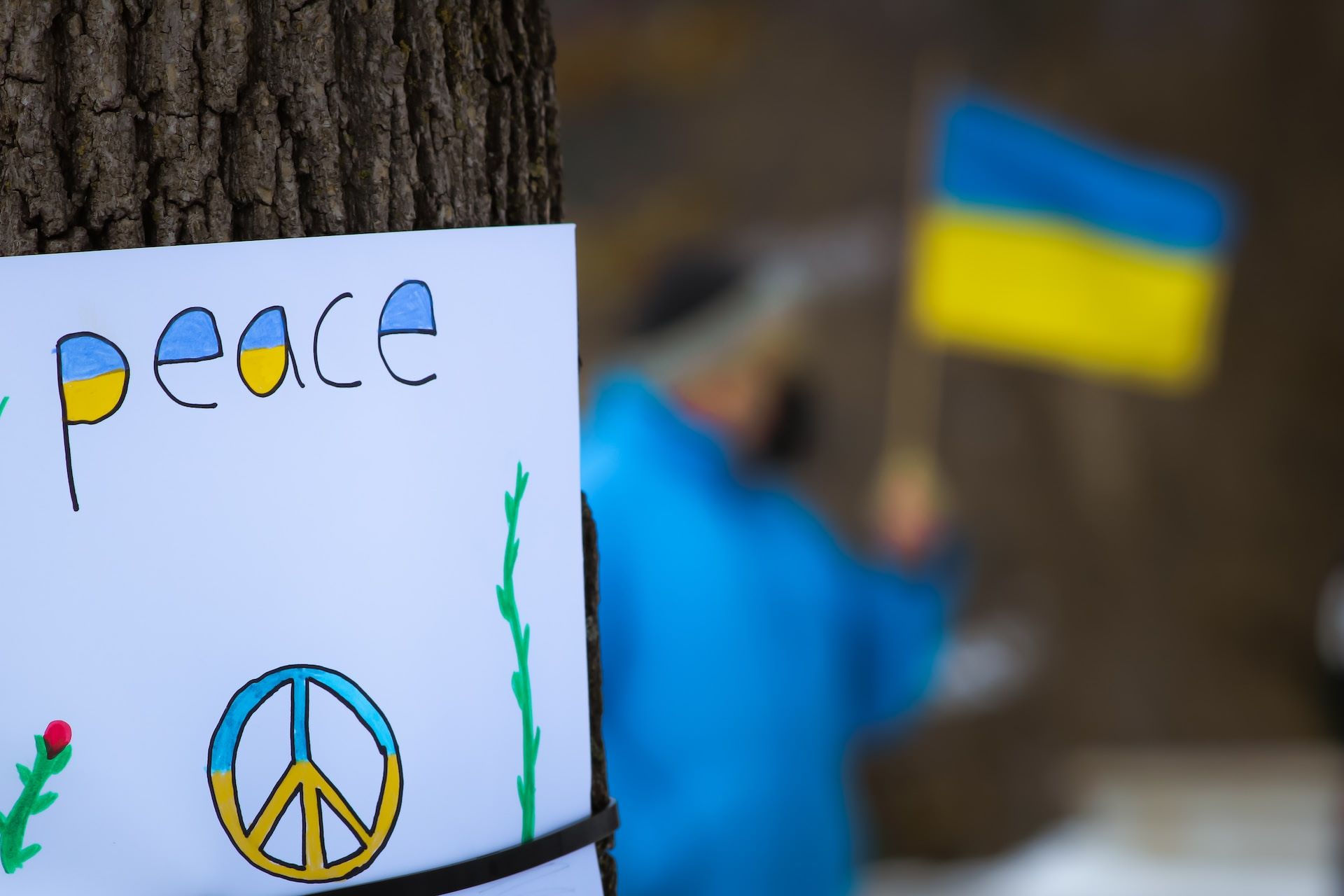 Hangemaltes Schild: "peace" in den Farben der Ukraine