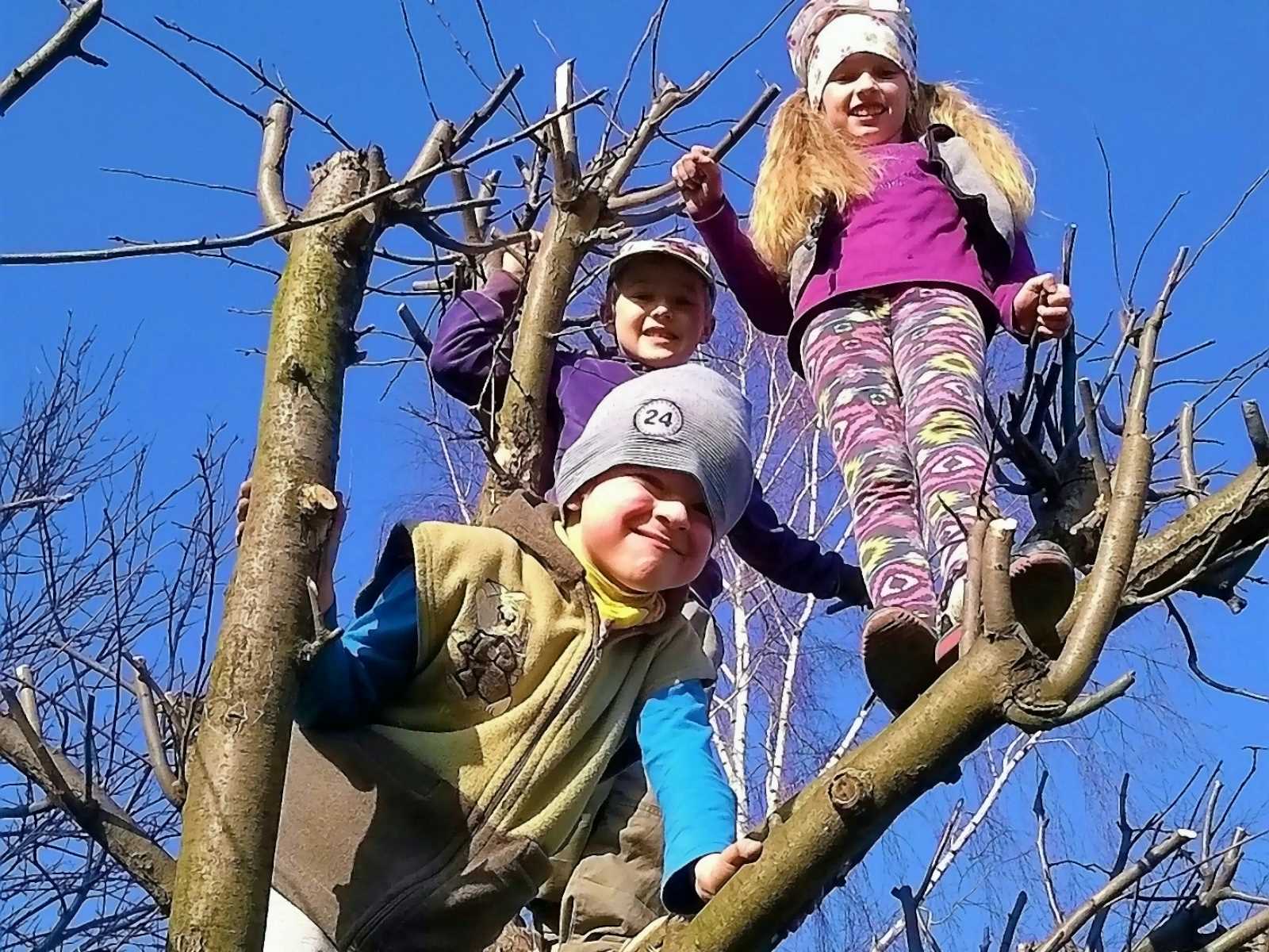Drei Kinder stehen in einem Baum.